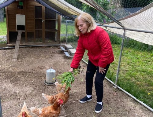 Activités spéciales – Juin – 2023