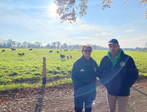 La Feuille des Mimosas – Décembre 2024