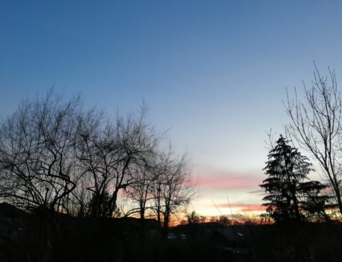 Les inspirations de Mme Magliola