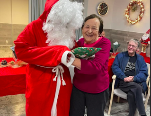 La Feuille des Mimosas – No 221 – Janvier 2026