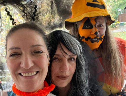 La Feuille des Mimosas – N° 220 – Eté / Automne 2025